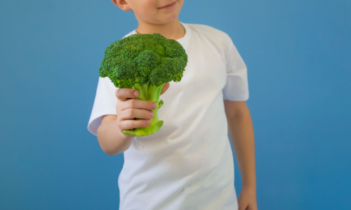 Alimentación vegetariana en la infancia